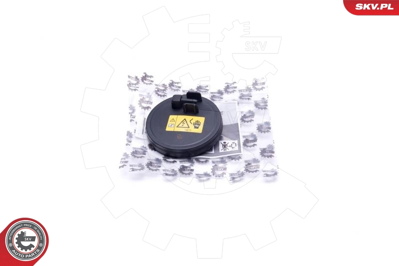 31SKV189