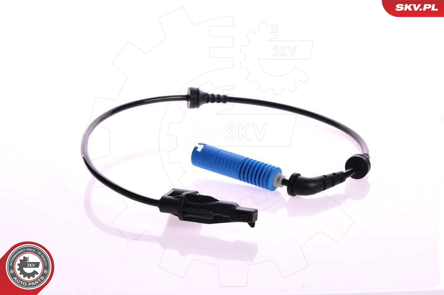 06SKV041