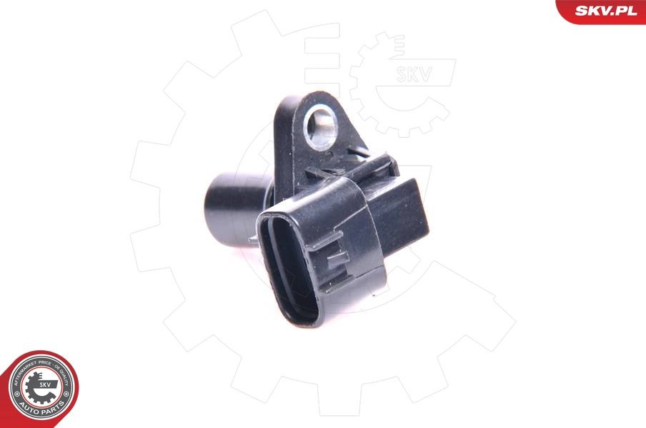 17SKV223