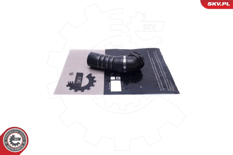 24SKV893
