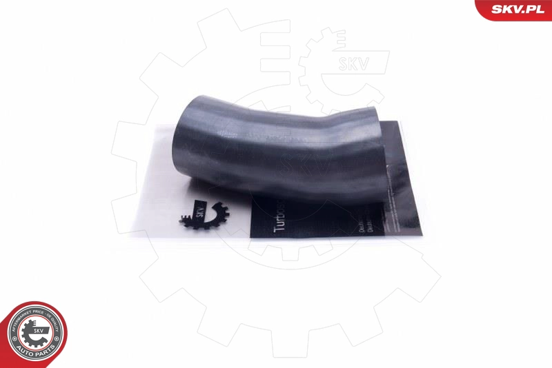 43SKV934