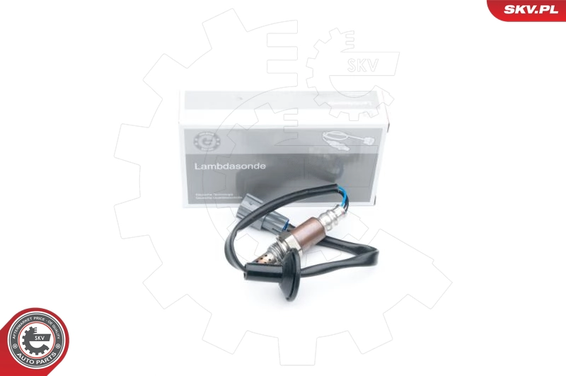 09SKV583