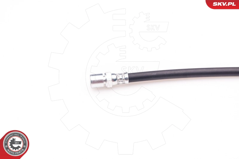 35SKV079