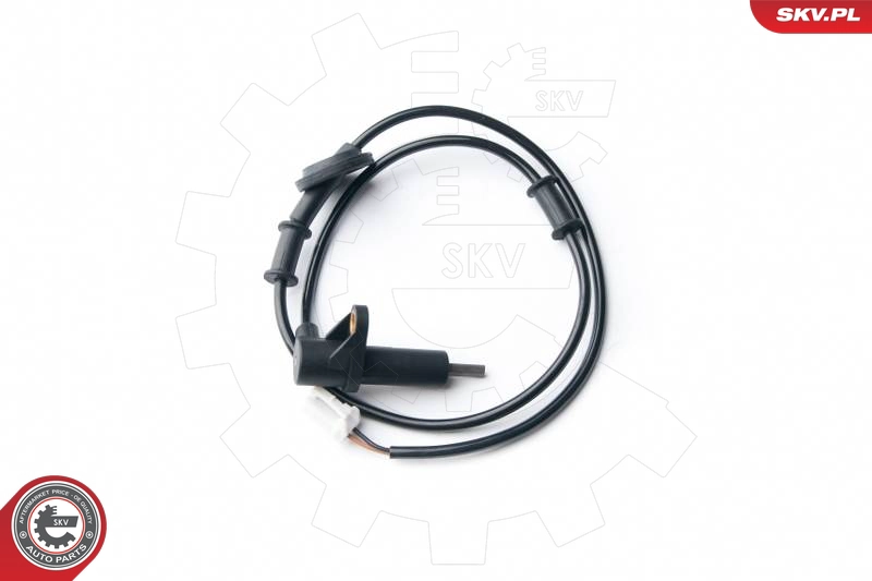 06SKV255