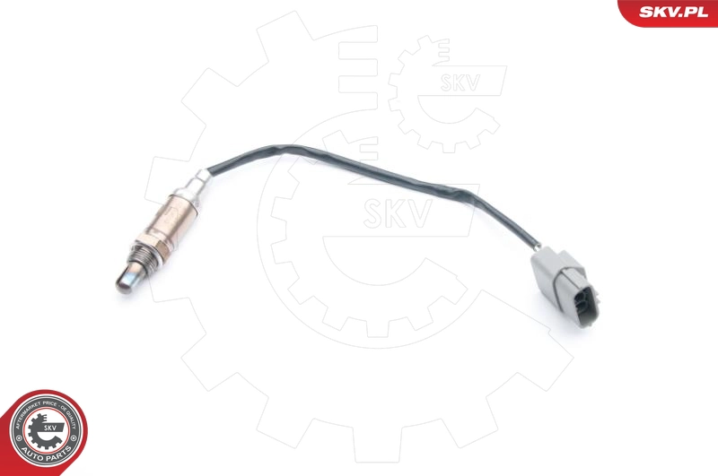 09SKV721