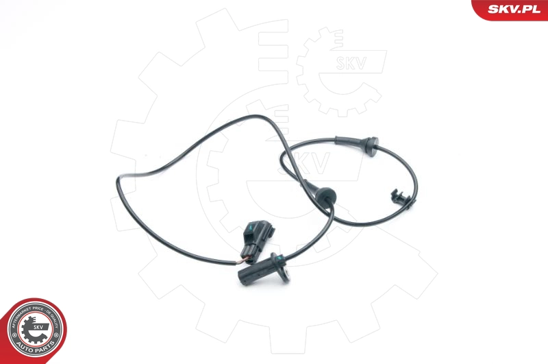 06SKV281
