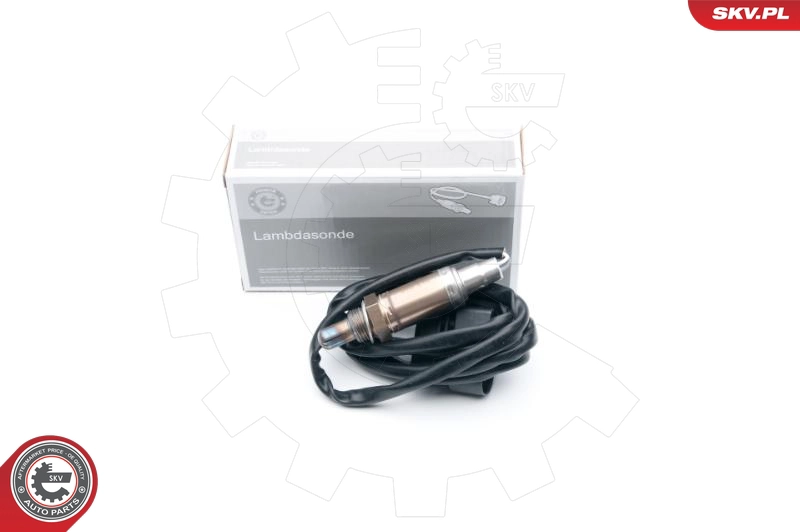 09SKV613