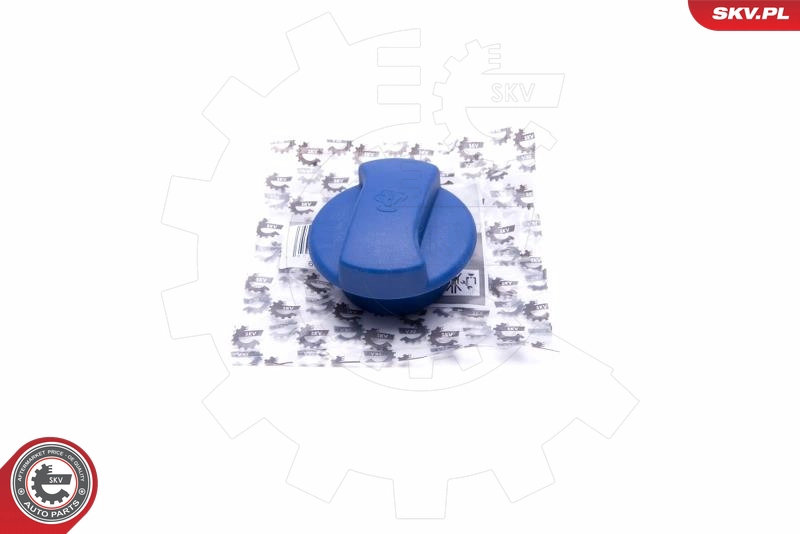 61SKV013