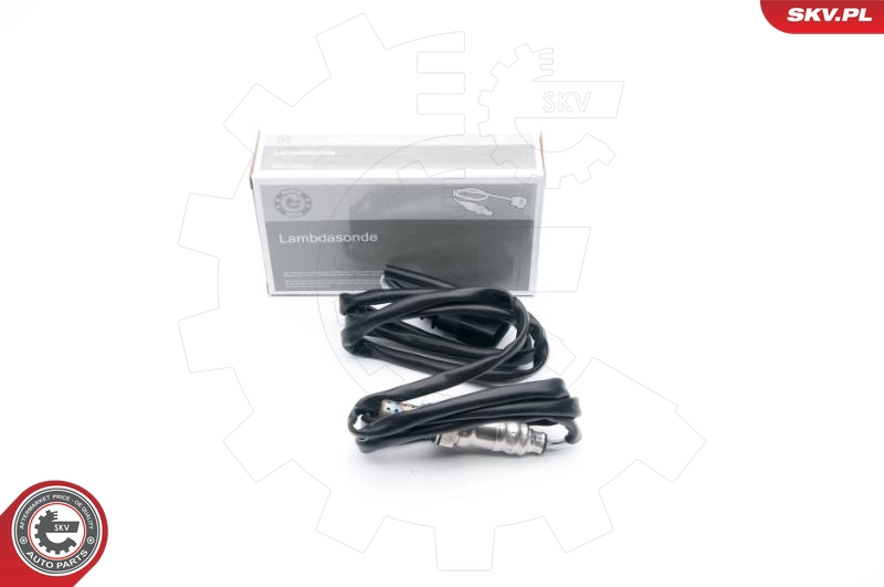 09SKV631