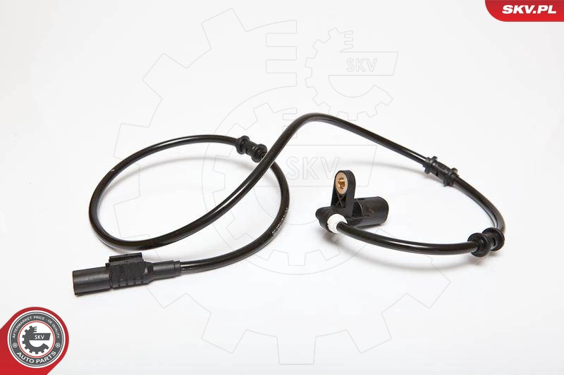 06SKV179