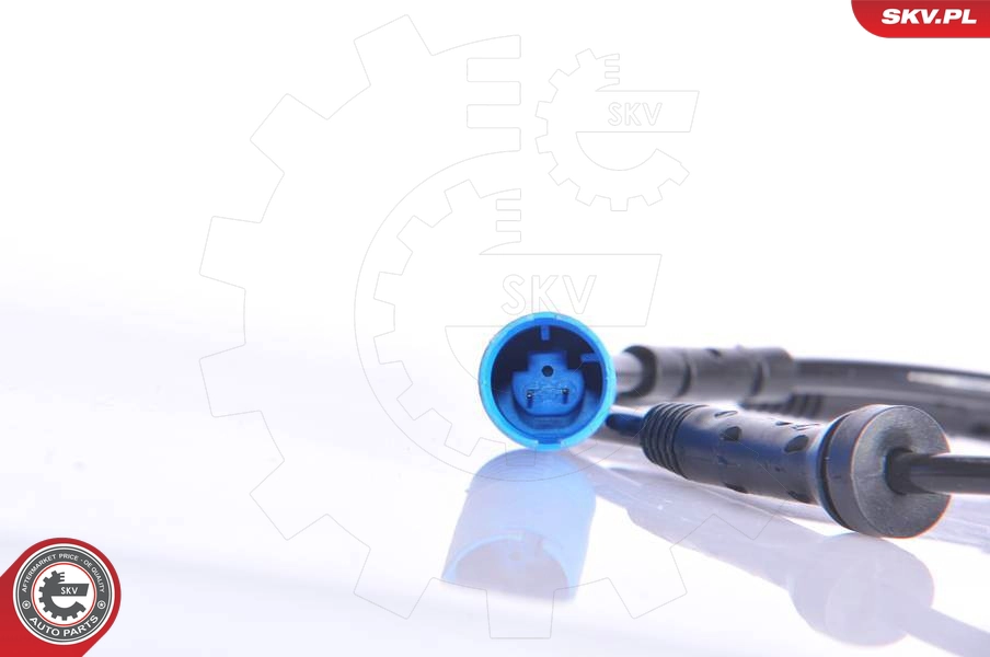06SKV077