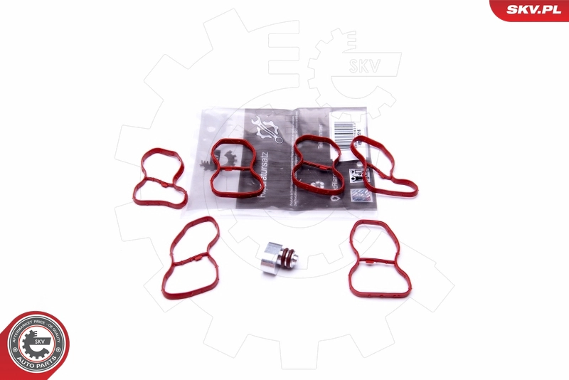 49SKV516