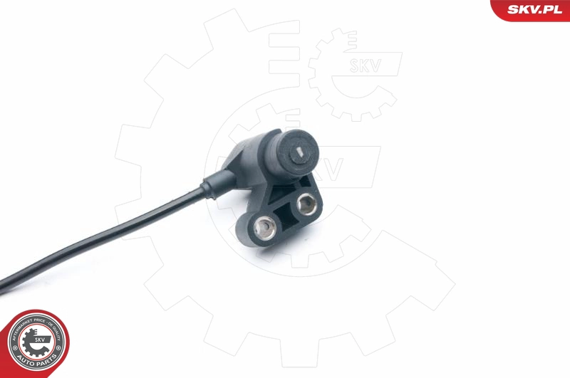 06SKV297