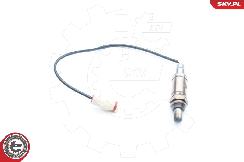 09SKV524