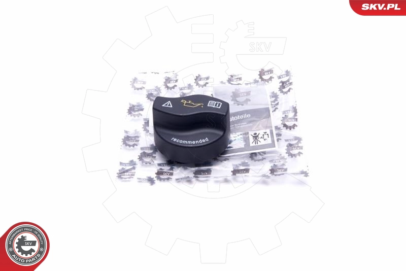 61SKV034