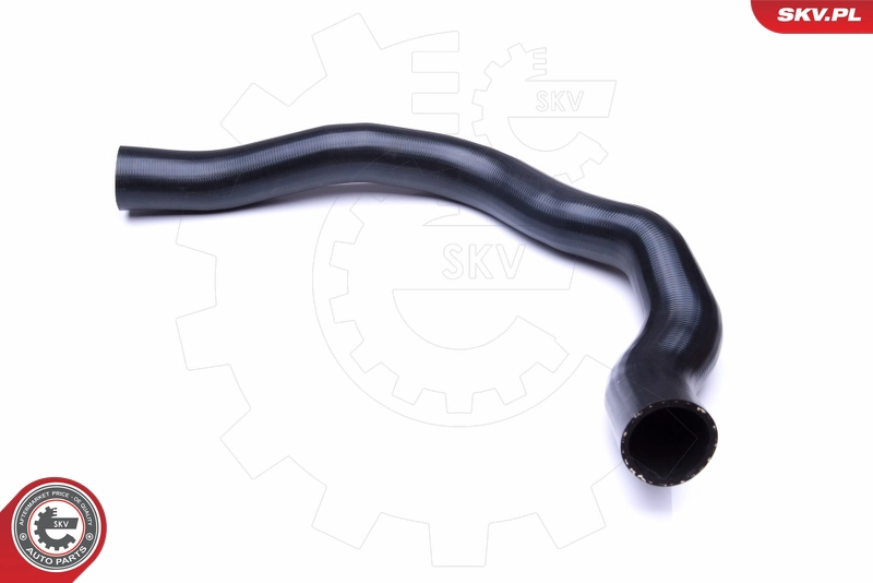 43SKV008