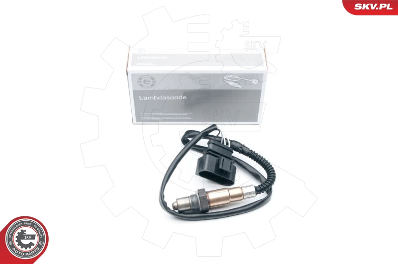09SKV616