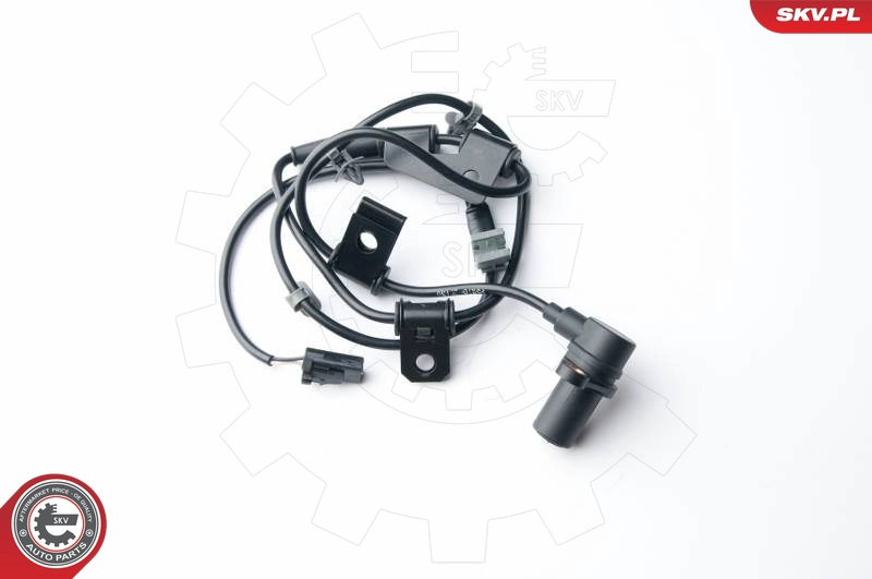 06SKV251