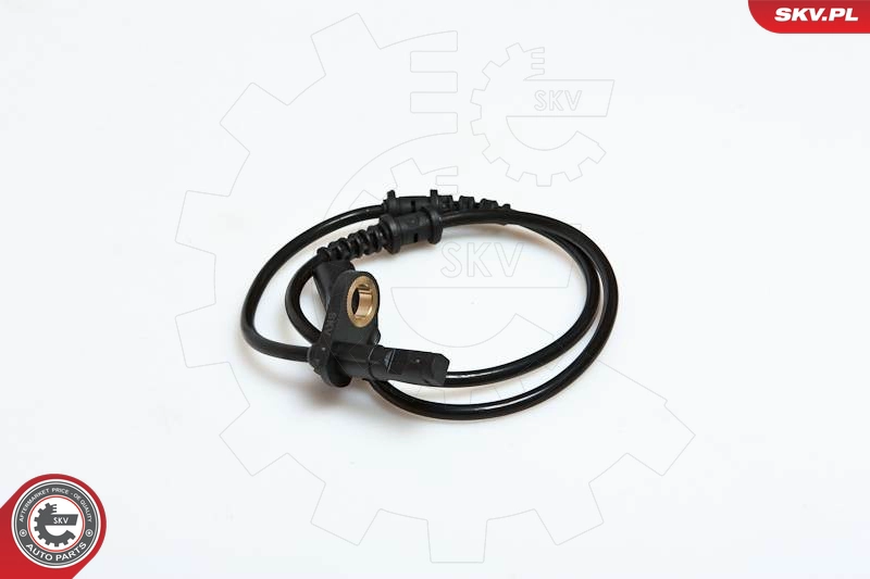 06SKV147