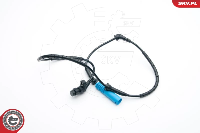 06SKV348