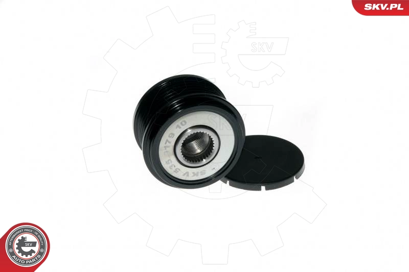 11SKV059