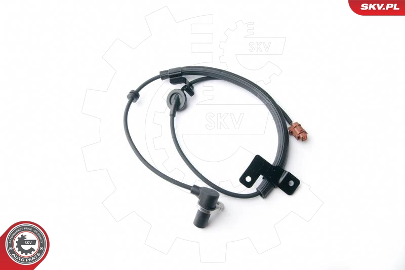 06SKV202