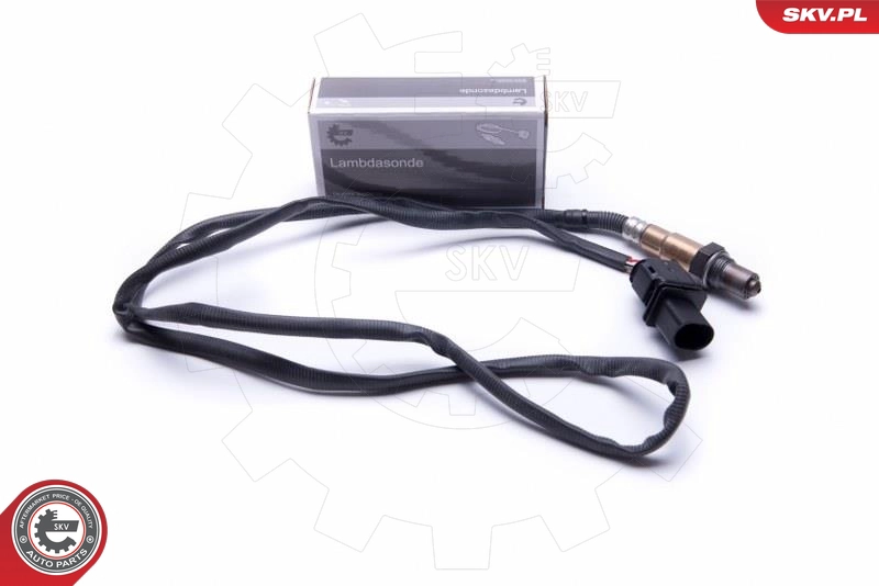 09SKV405
