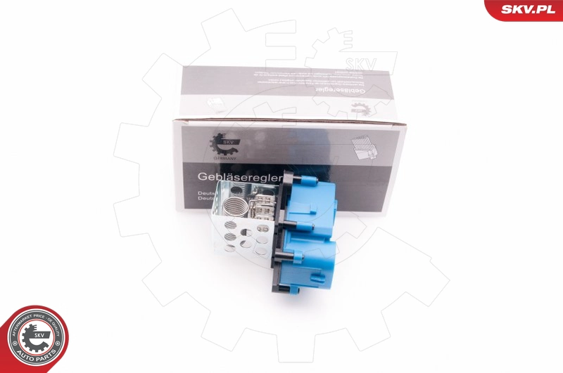 94SKV010