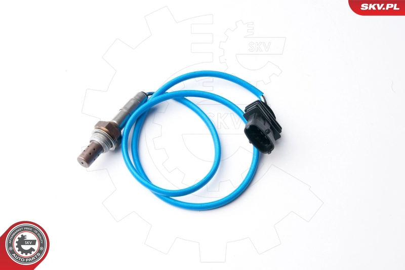 09SKV081