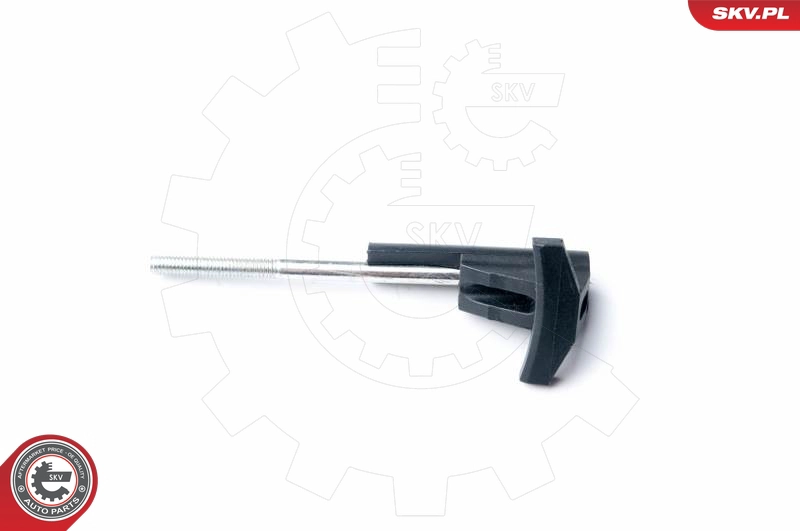 21SKV001