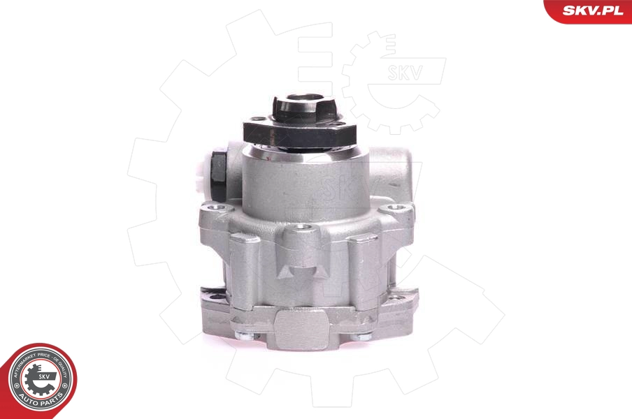 10SKV121