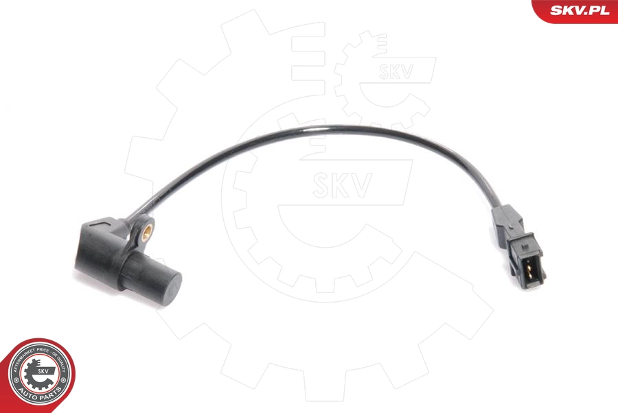 17SKV220