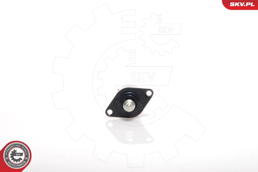 08SKV020