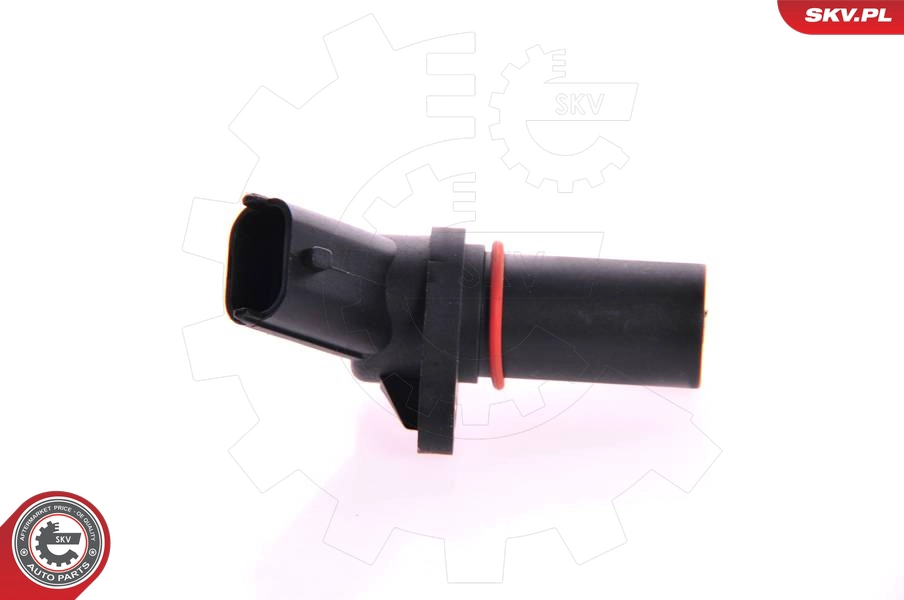 17SKV217