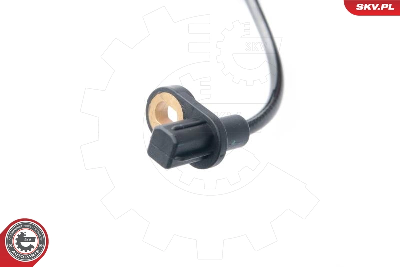 06SKV245