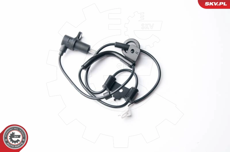 06SKV252