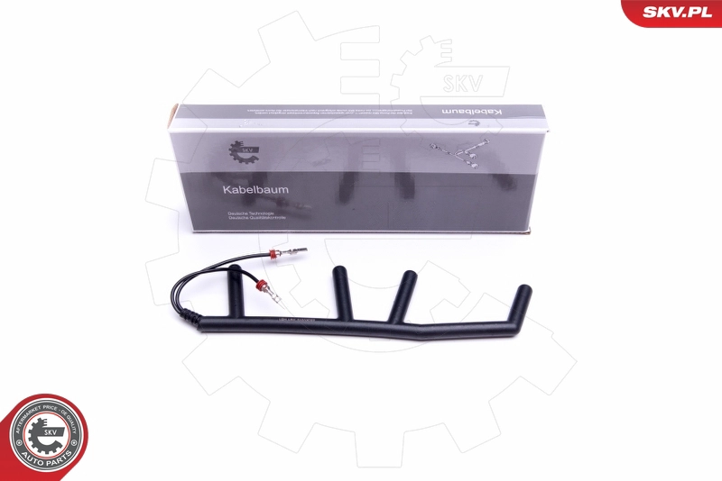 53SKV010