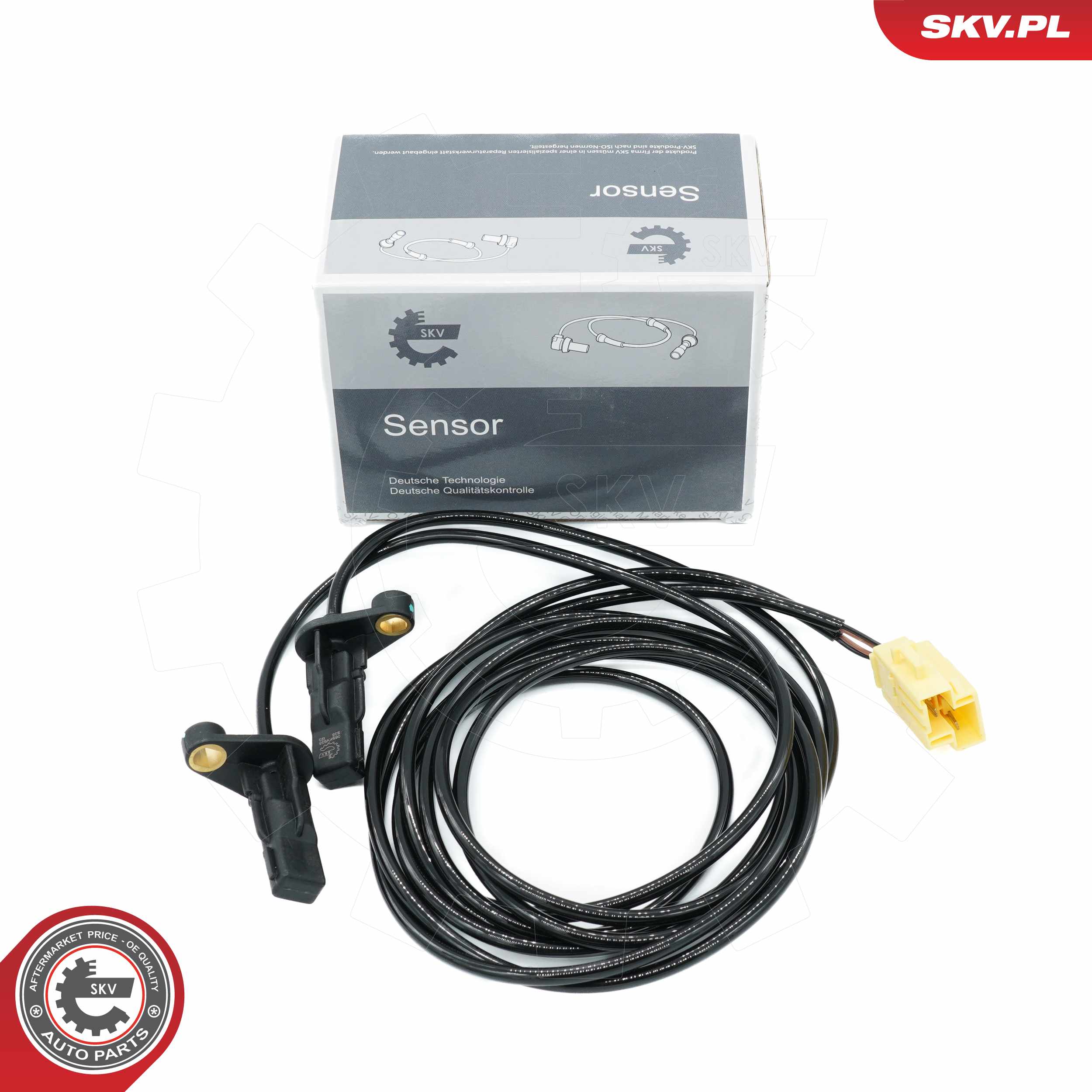 06SKV538