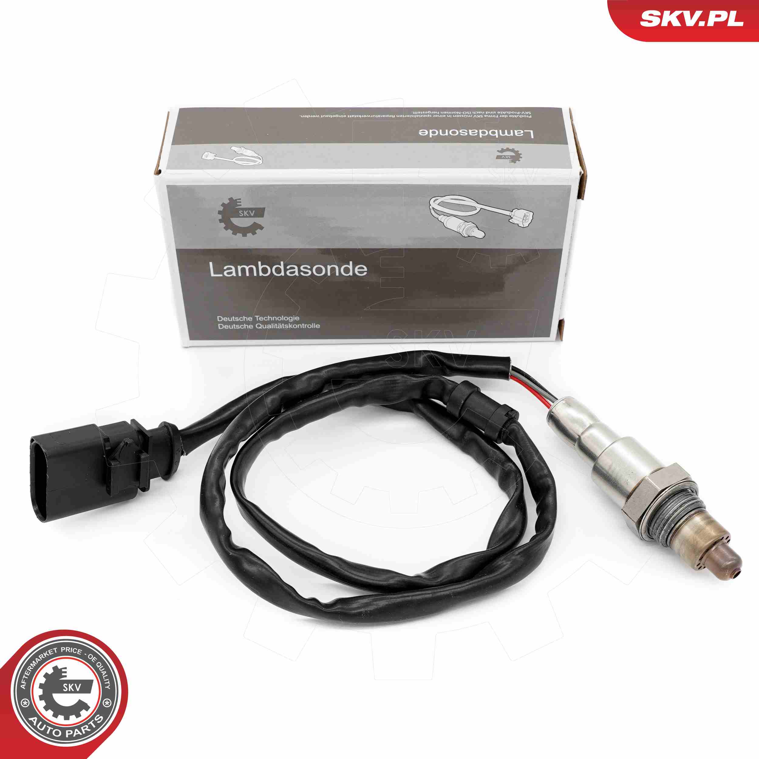 09SKV165