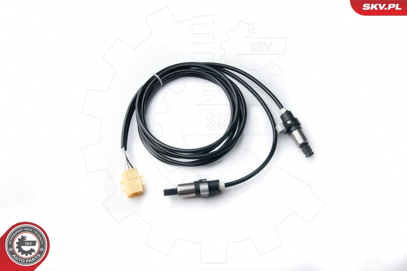 06SKV236