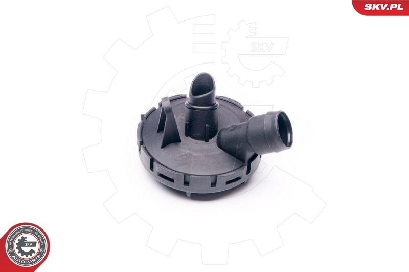 31SKV022