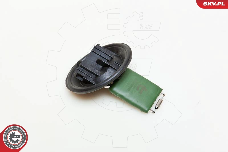 95SKV007