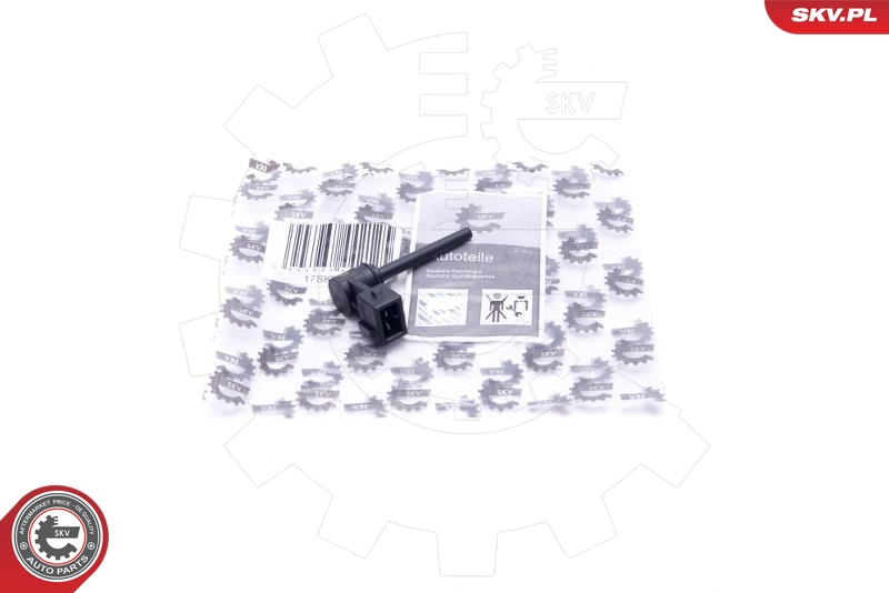 17SKV646