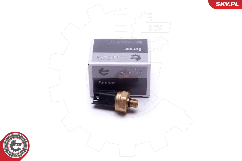 17SKV620