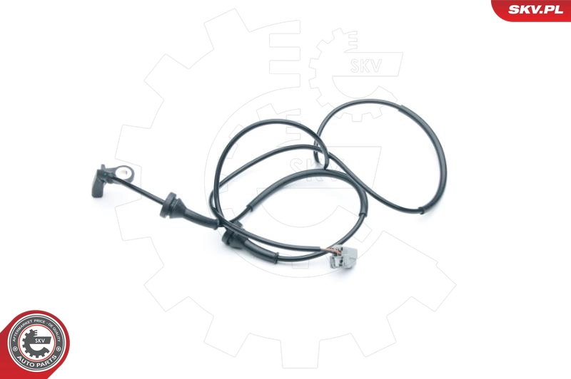 06SKV289