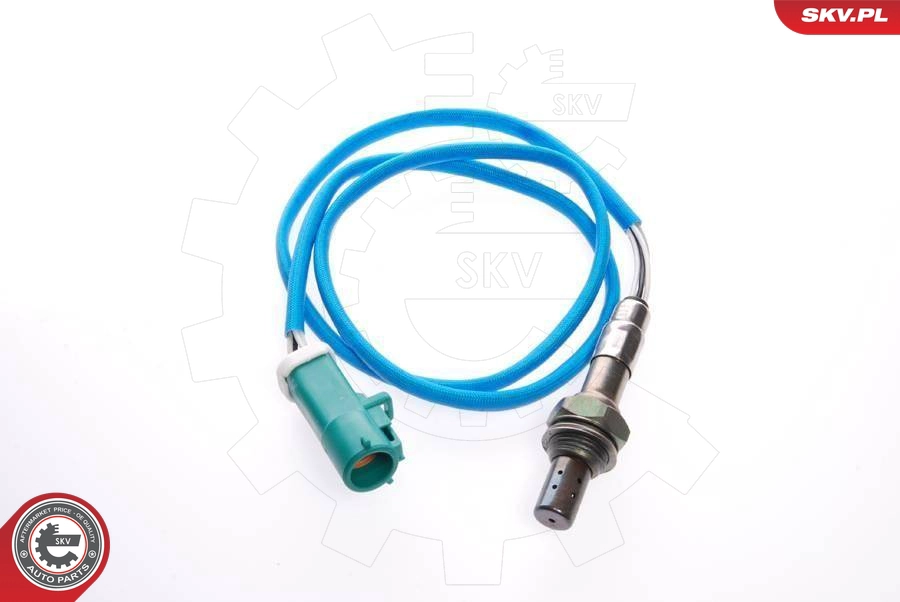 09SKV006