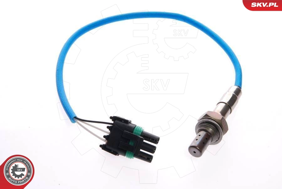 09SKV019