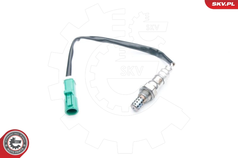 09SKV573