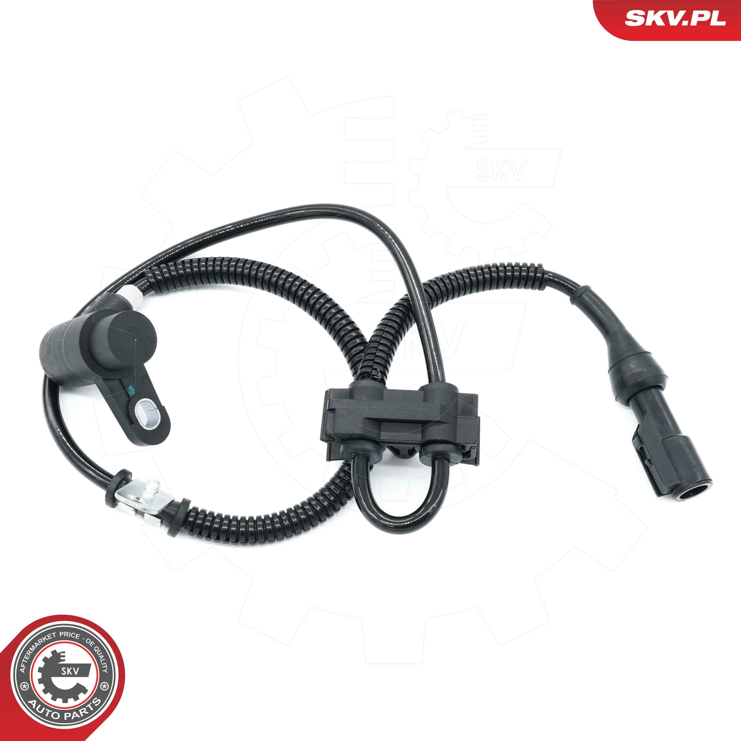 06SKV446