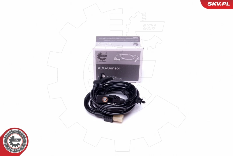 06SKV374